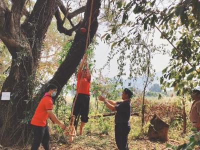 กิจกรรมการเดินทางไกลและเข้าค่ายพักแรม ลูกเสือ -เนตรนารีสามัญ